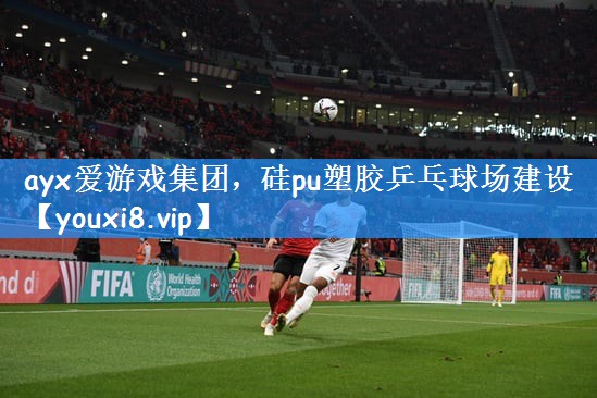 ayx爱游戏集团,硅pu塑胶乒乓球场建设