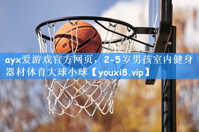 ayx爱游戏官方网页,2-5岁男孩室内健身器材体育大球小球