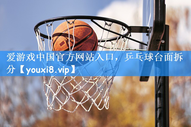 乒乓球台面拆分