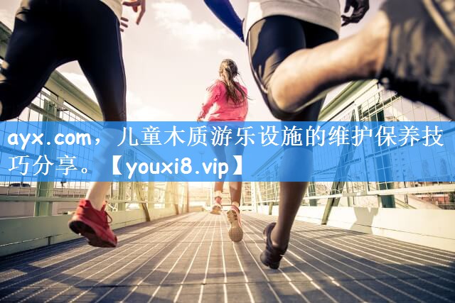 儿童木质游乐设施的维护保养技巧分享。