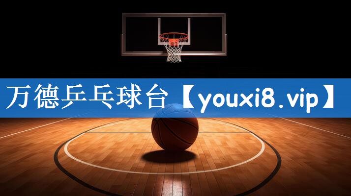 万德乒乓球台